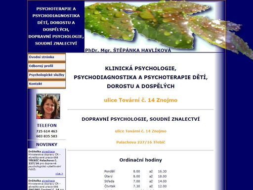 psychoterapie a psychodiagnostika dětí, dorostu a dospělých. dopravní psychologie, soudní znalectví.