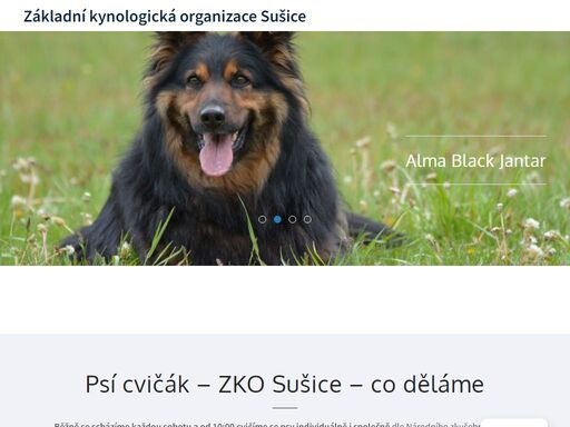 zkosusice.cz