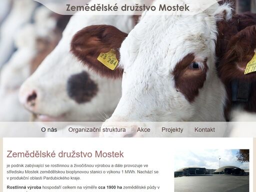 www.zdmostek.cz