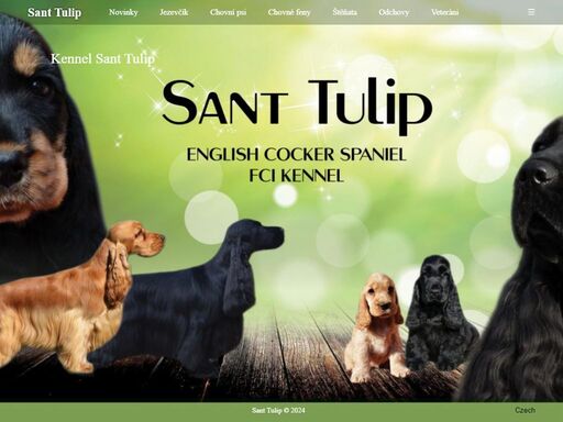 www.santtulip.cz