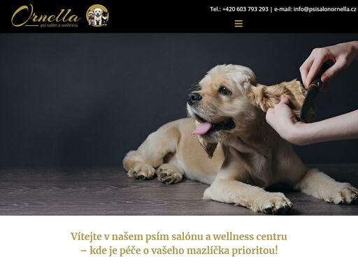 psisalonornella.cz