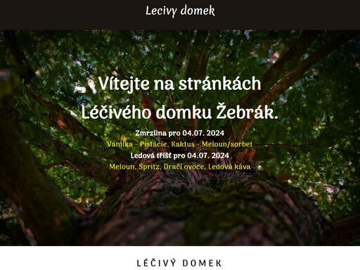 www.lecivydomek.cz