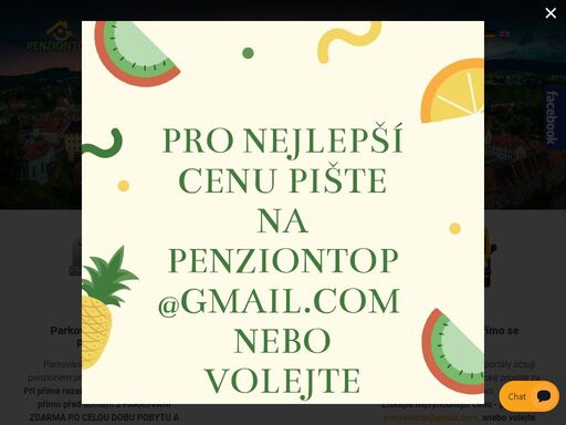 www.penziontop.cz