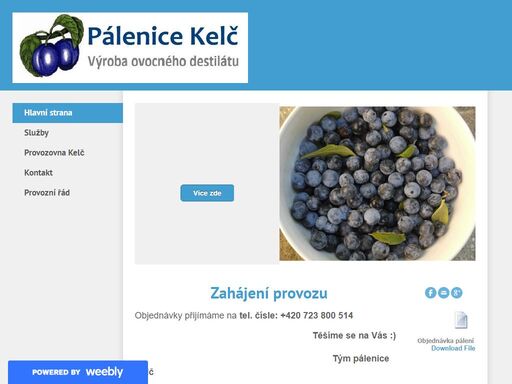 palenicekelc.weebly.com