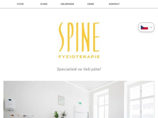 www.spinefyzioterapie.cz