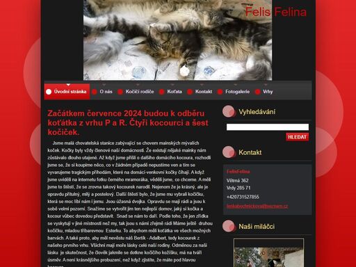 felisfelina.webnode.cz