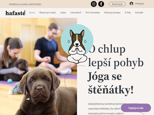 www.hafaste.cz