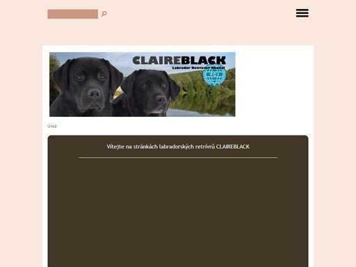 labrador retrievrer, labradorský retrívr zlín- claireblack jsem malá rodinná chovatelská stanice labradorských retríevrů. naším záměrem je výhradně rodinný chov labradorských retrívrů. díky tomu mají naše štěňata maximální péči a individuelní přístup
