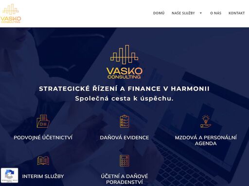 nabízíme komplexní služby v oblasti vedení účetnictví, daňové evidence, zpracování mezd. pomůžeme s externím managementem, interim cfo, finančním plánováním a restrukturalizací.
