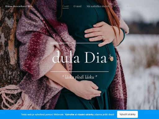 dula dia hořovice plzeň příbram rakovník diana berenikova doprovod k porodu diana bereníková dula hořovice plzeň rakovník