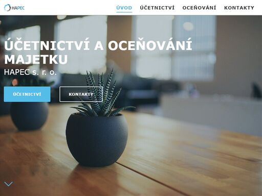 vedení účetnictví profesionálně pro právnické osoby i fo. účetnictví na míru včetně zpracování daňových přiznání, mezd a analýzy podnikání.
