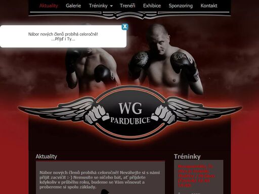 tréninky bojových sportů - škola bojových sportů wg, z. s. pardubice. kickbox, thaibox, fit & box | pardubice wg (white gym).
