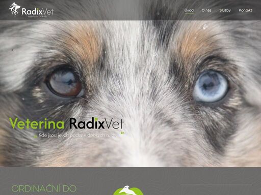 vítejte na stránkách veterinární ordinace radixvet, která se zaměřuje na péči o malá zvířata v zábřehu.