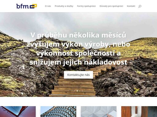 www.bfm.cz