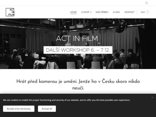 základní informace o workshopu act in film.