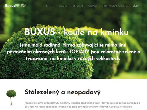 jsme malá rodinná firma zabývající se mimo jiné pěstováním okrasných keřů. topiary jsou celoročně zelené a tvarované na kmínku v různých velikostech.