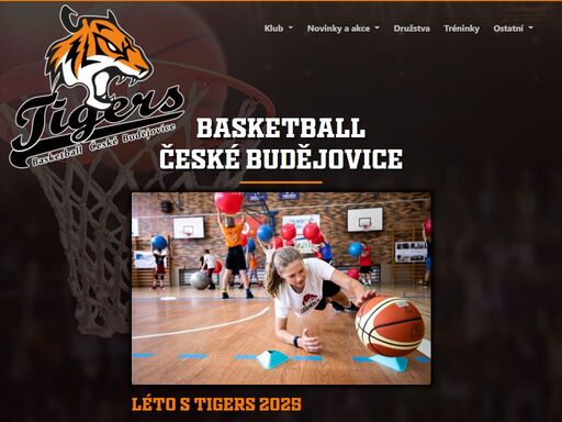 tigers basketbal české budějovice
