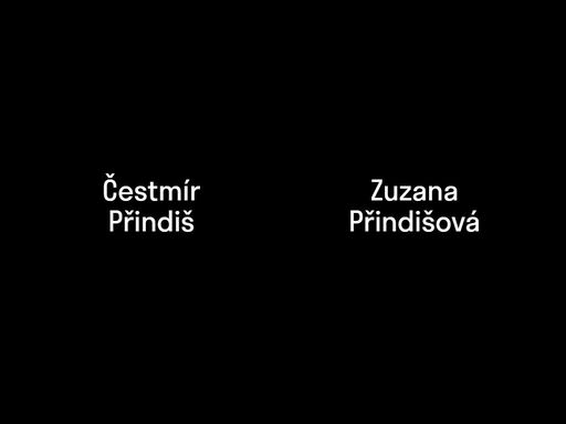 nabízím komplexní služby v oblasti grafického designu, od konceptu až po realizaci. navrhnu vám nové logo a vizuální identitu, připravím pro vás tištěné materiály, online bannery i nový web.
