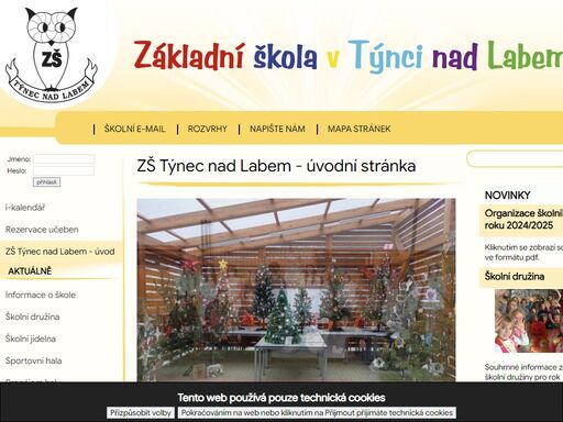 základní škola v týnci nad labem vzdělává žáky prvního i druhého stupně. ve škole je 9  odborných učeben, cvičná kuchyňka, dílny, sportovní hala a knihovna pro žáky školy.