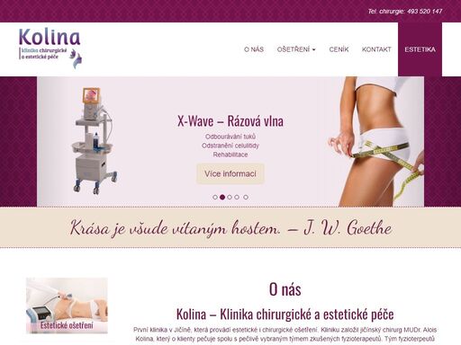 klinika chirurgické a estetické péče