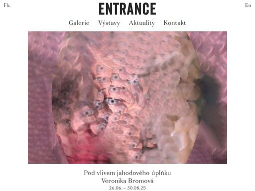 entrancegallery.com