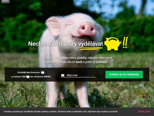 nechte své názory vydělávat!