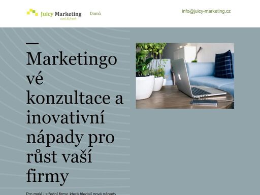 analýza, strategie, plány pro online i offline marketing malých a středních firem. školení marketingu na míru potřebám vaší firmy.