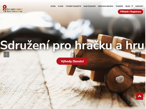 posláním sdružení pro hračku a hru je spojovat individuální a skupinové odborné zájmy k řešení problematiky hry a hračky.