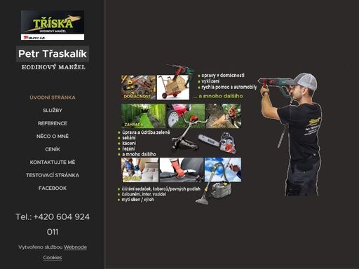 zahradní služby, střih tújí, živých plotů, sečení, zatravňování, odplevelování, kácení, opravy, čištění sedaček, koberců, podlah, oken a výloh, vyklízení