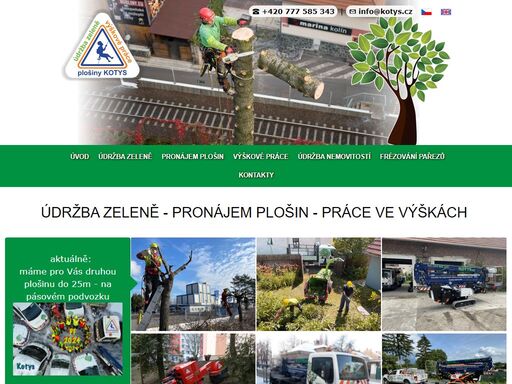  frézujeme pařezy všech velikostí. ošetřování stromů, údržba zeleně, zábrany na holuby.