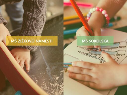 mš se zaměřuje na společné hry, individuální práce s dětmi, alternativní prvky výuky, edukativně stimulační skupiny a pobyty venku.