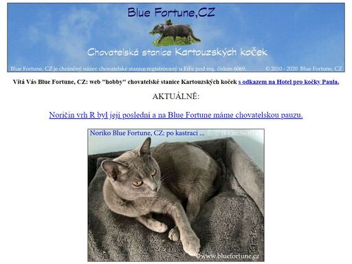 blue fortune, cz je hobby chovatelská stanice kartouzských koček ...
               kartouzské kočky jsou vyjímečné plemeno, které dává lidem radost, pohodu a energii.
               klimatizovaný hotel pro kočky kozmice hotel paula **** s celoročním provozem má kapacitu sedmi prostorných pokojů pro kočky
               rozmístěných na ploše 65 m2, vybavených velikými škrabadly a najdete jej v kozmicích u hlučína, blízko ostravy a opavy.
               