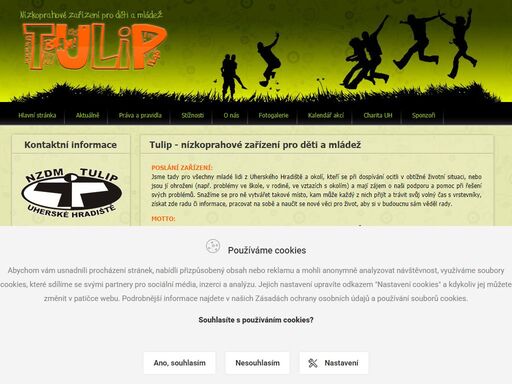 tulip - nízkoprahové zařízení pro děti a mládež