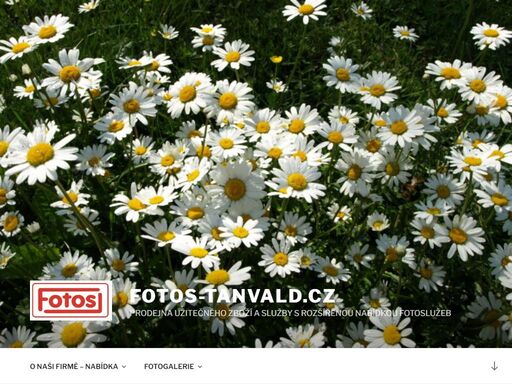 www.fotos-tanvald.cz