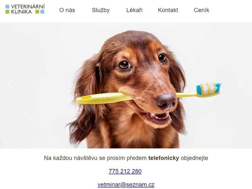 moderní veterinární klinika v novém malíně u šumperka poskytuje komplexní služby v oblasti péče o psy, kočky a drobná zvířata.