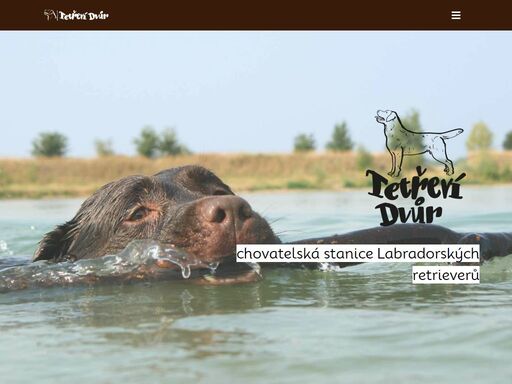 tetřeví dvůr - chovatelská stanice labradorských retrieverů navazující na kvalitní linie, poradenství s chovem, štěňata, odkazy na zajímavé stránky, rodokmeny plné krásných předků.