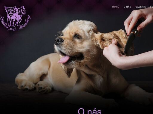 psí salon specializující se na profesionální úpravu srsti vašeho miláčka. v naší nabídce najdete množství služeb jako například koupání, stříhání, depilaci ušních chloupků a další. 