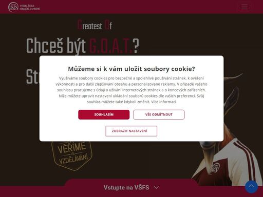 www.vsfs.cz