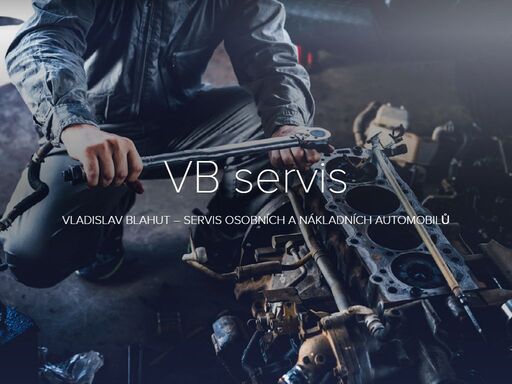 vb servis
