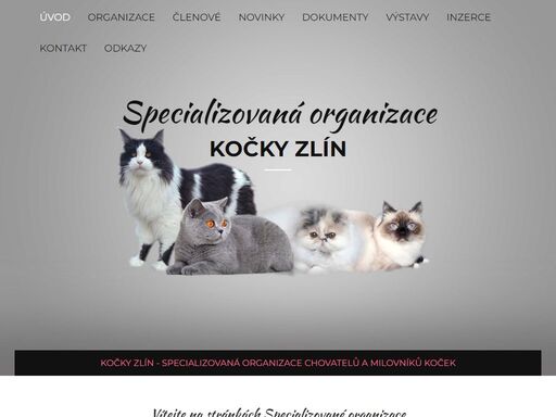 kočky zlín specializovaná organizace schk