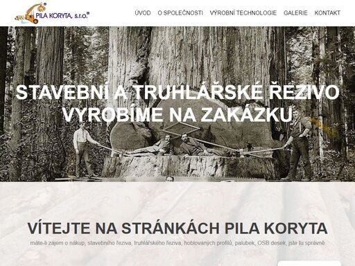 www.pila-koryta.cz