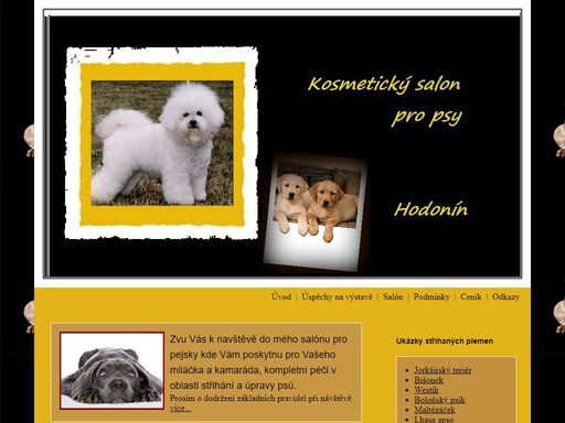 www.psisalon-hodonin.cz