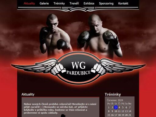 tréninky bojových sportů - škola bojových sportů wg, z. s. pardubice. kickbox, thaibox, fit & box | pardubice wg (white gym).