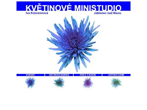 www.ministudio.cz