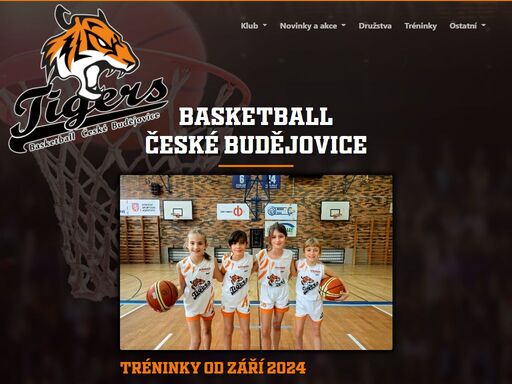 tigers basketbal české budějovice