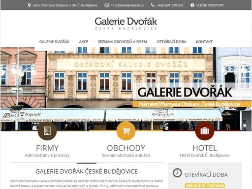 www.galeriedvorak.cz