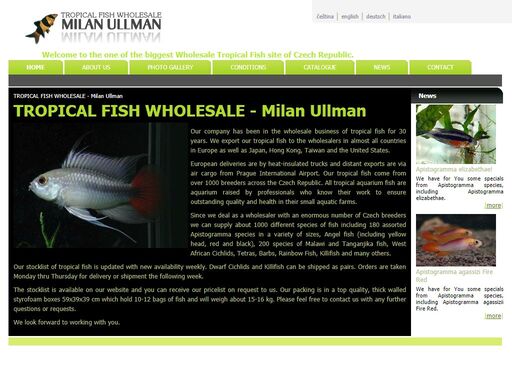 www.milan-ullman.com