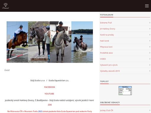 chov a výcvik koní ze země i ze sedla, jezdecký výcvik, mountain / extreme trail... koně na prodej z vlastního chovu.