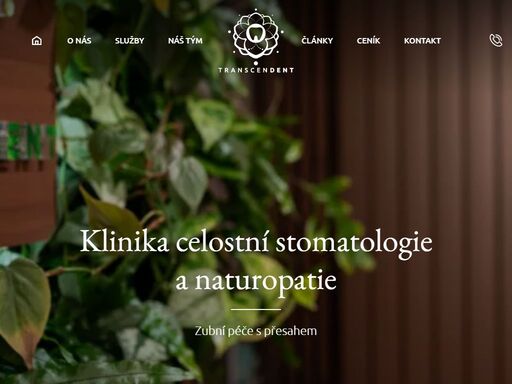 spolu s naší hlavní lékařkou mudr. kateřinou gaudi hledáme v transcendentu udržitelnou a funkční alternativu pro to, co se bohužel usazuje v českém veřejném zdravotnickém sektoru jako smutný standard - často je to nevlídný přístup přepracovaných doktorů, špatně nastavený systém pojišťoven, lhostejnost vůči šetrnosti v ordinaci a bezduché robotické postupy, které nehledí na individualitu pacienta.