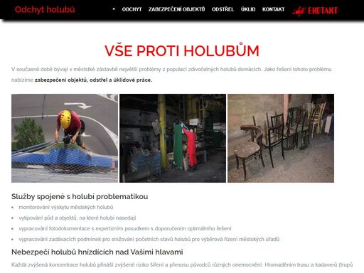 vše proti holubům v současné době bývají v měststké zástavbě největší problémy z popul